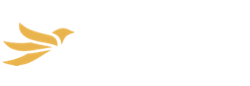 Raven Lending Logo